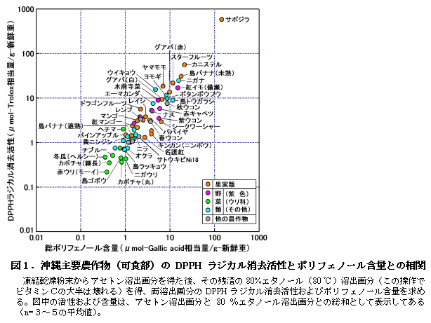 図1.沖縄主要農作物(可食部)のDPPH ラジカル消去活性とポリフェノール含量との相関