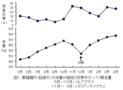 図1.繁殖雌牛(経産牛)の体重の推移と牧草中タンパク質含量