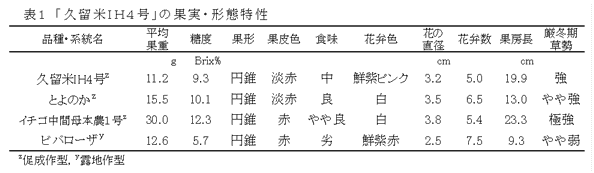 表1 「久留米I H 4 号」の果実・形態特性