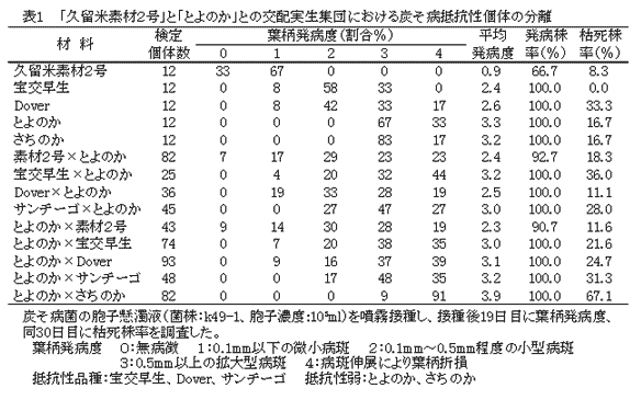 表1  「久留米素材2号」と「とよのか」との交配実生集団における炭そ病抵抗性個体の分離