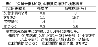 表2  「久留米素材2号」の萎黄病抵抗性検定結果
