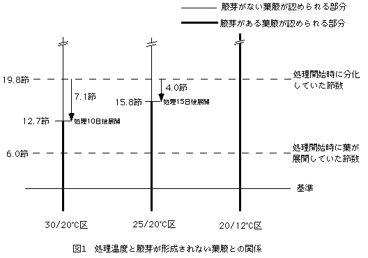 図1.処理温度と腋芽が形成されない葉腋との関係