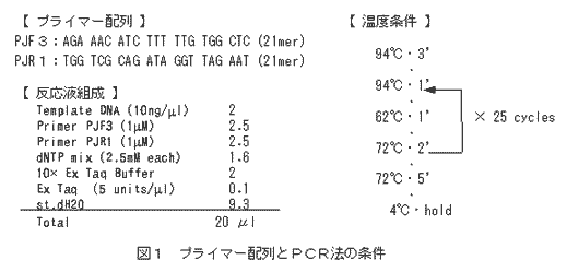 図1 プライマー配列とPCR法の条件