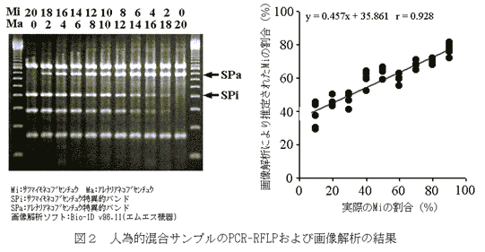 図2 人為的混合サンプルのPCR-RFLPおよび画像解析の結果