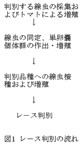 図1 レ-ス判別の流れ