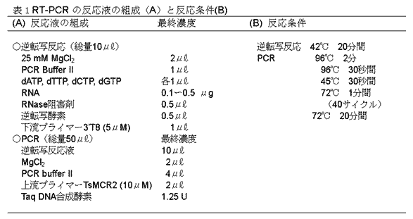 表1RT-PCR の反応液の組成(A)と反応条件(B)