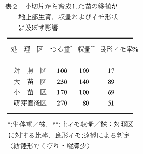 表2 小切片から育成した苗の移植が地上部生育,収量およびイモ形状に及ぼす影響