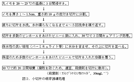 図2.小切片の萌芽誘導処理