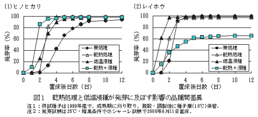図1 乾熱処理と低温浸種が発芽に及ぼす影響の品種間差異