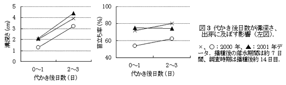 図3 代かき後日数が溝深さ、 出芽に及ぼす影響(左図)