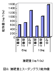 図2.施肥量とスーダングラス乾物重