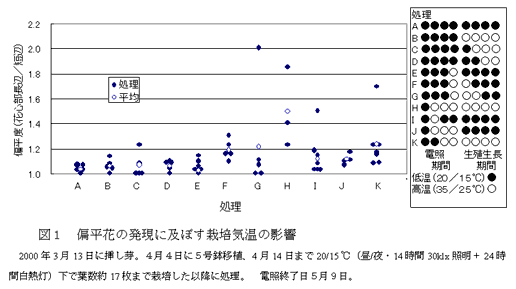 図1 偏平花の発現に及ぼす栽培気温の影響