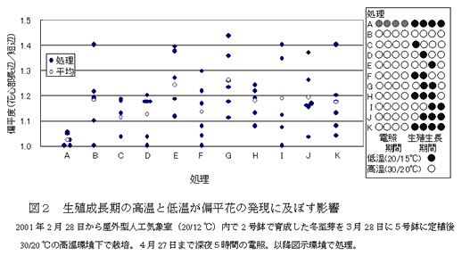 図2 生殖成長期の高温と低温が偏平花の発現に及ぼす影響