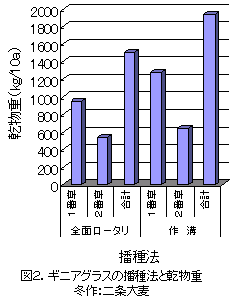 図2.ギニアグラスの播種法と乾物重 冬作:二条大麦