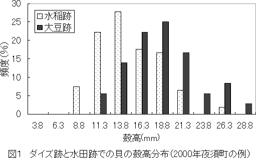 図1 ダイズ跡と水田跡での貝の殻高分布
