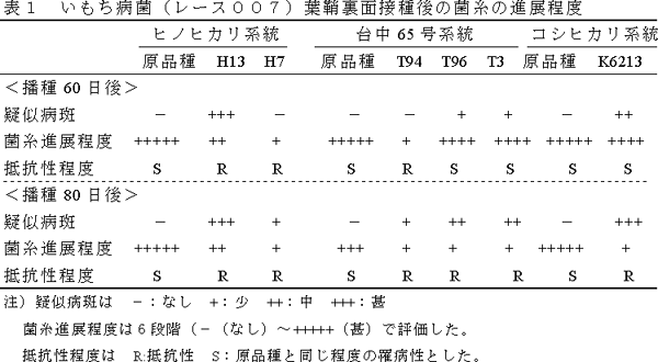 表1 いもち病菌( レース0 0 7 ) 葉鞘裏面接種後の菌糸の進展程度