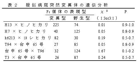 表2 疑似病斑突然変異体の遺伝分析