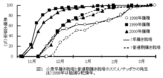 図1 小麦早播き栽培と普通期播き栽培のスズメノテッポウの発生