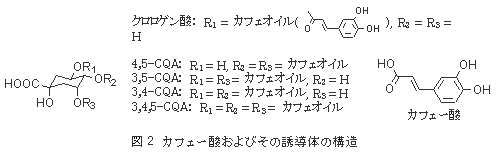 図2 カフェー酸およびその誘導体の構造