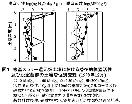 家畜スラリー多量連用畑圃場における脱窒活性と脱窒菌群の動態