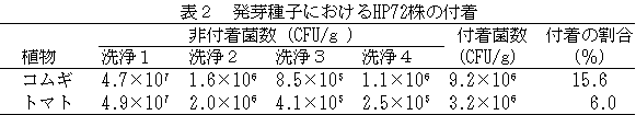 表2 発芽種子におけるHP72株の付着