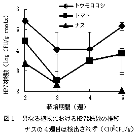 図1 異なる植物におけるHP72株数の推移