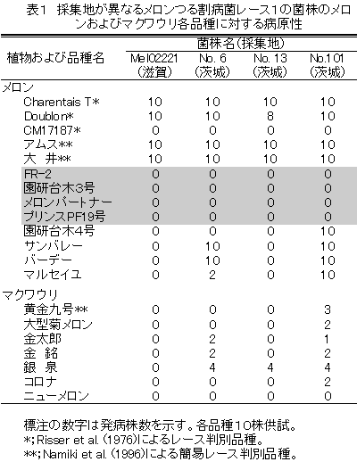 表1 採集地が異なるメロンつる割病菌レース1の菌株のメロ ンおよびマクワウリ各品種に対する病原性