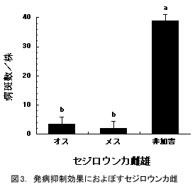 図3.発病抑制効果におよぼすセジロウンカ雌雄の影響