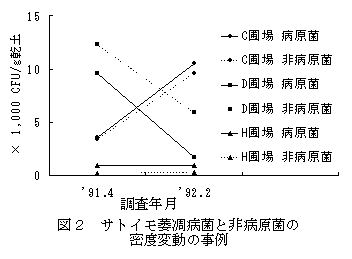 図2 サトイモ萎凋病菌と非病原菌の密度変動の事例