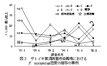 図3 サトイモ萎凋病菌汚染圃場におけるF. oxysporum 密度の推移の事例