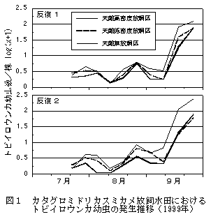 図1 カタグロミドリカスミカメ放飼水田におけるトビイロウンカ幼虫の発生推移