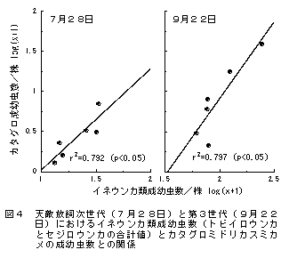 図4 天敵放飼次世代(7月28日)と第3世代(9月22日)におけるイネウンカ類成幼虫数(トビイロウンカ とセジロウンカの合計値)とカタグロミドリカスミカメの成幼虫数との関係