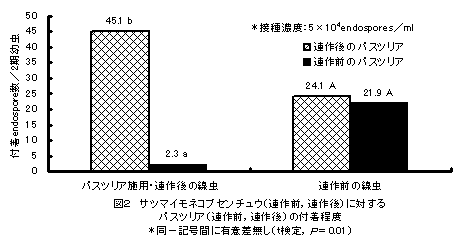 図2 サツマイモネコブセンチュウ(連作前,連作後)に対する パスツリア(連作前,連作後)の付着程度