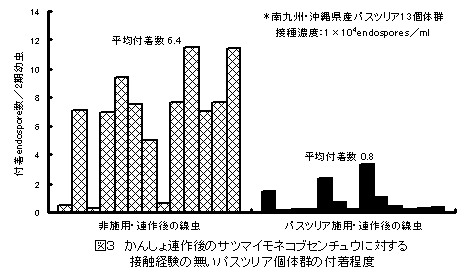 図3 かんしょ連作後のサツマイモネコブセンチュウに対する 接触経験の無いパスツリア個体群の付着程度