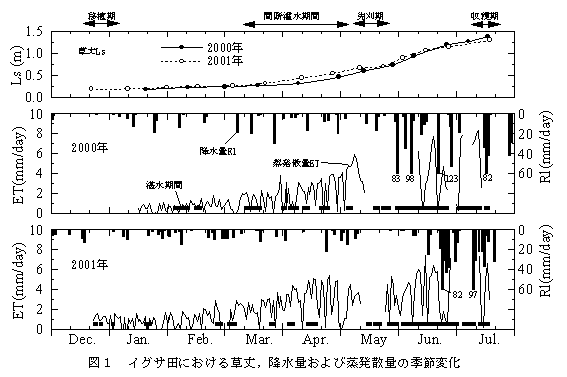 図1 イグサ田における草丈,降水量および蒸発散量の季節変化