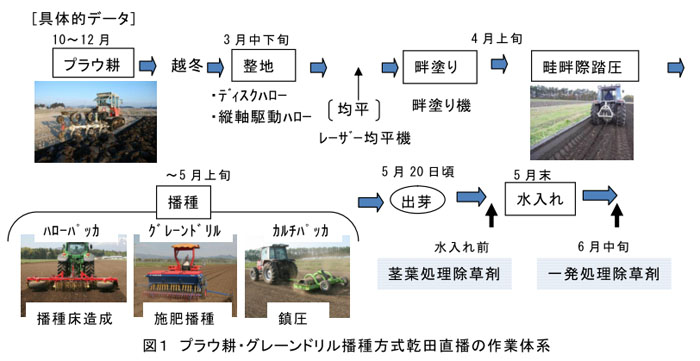 図1 プラウ耕・グレーンドリル播種方式乾田直播の作業体系