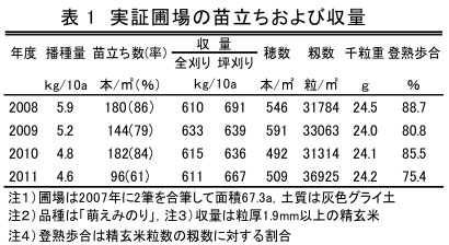 表1 実証圃場の苗立ちおよび収量