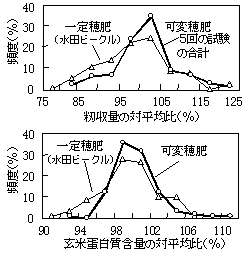 図2:籾収量と玄米蛋白質含量の頻度分布