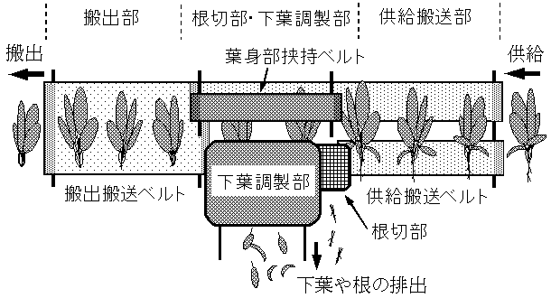 図1:軟弱野菜調製機の概要図