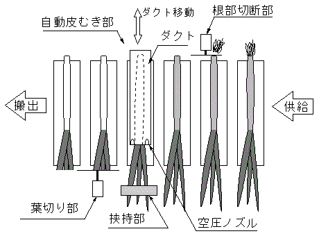 図1:長ねぎ調製装置による作業の概要