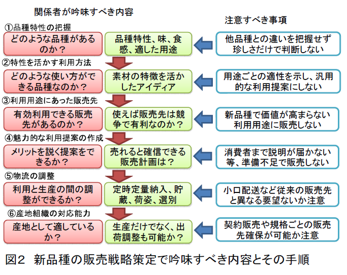 新品種の販売戦略策定で吟味すべき内容とその手順