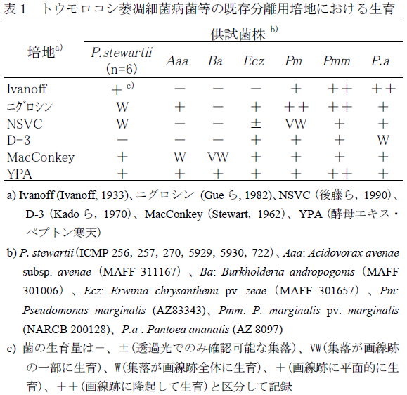 トウモロコシ萎凋細菌病菌等の既存分離用培地における生育