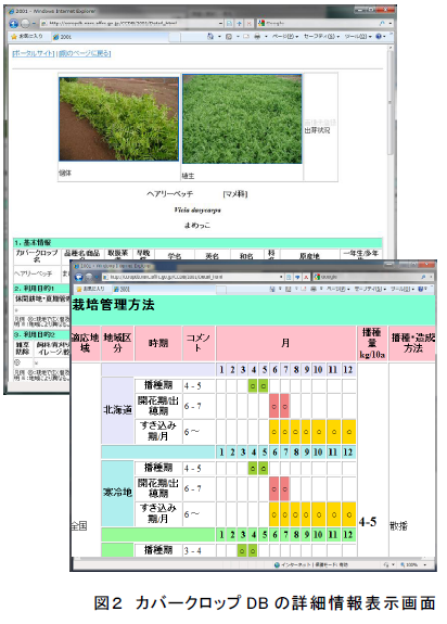 カバークロップDBの詳細情報表示画面