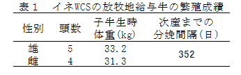 表1 イネWCSの放牧地給与牛の繁殖成績