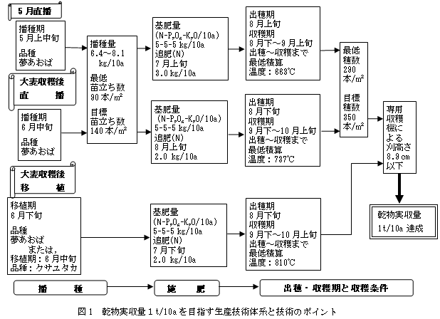 図1 乾物実収量1t/10aを目指す生産技術体系と技術のポイント