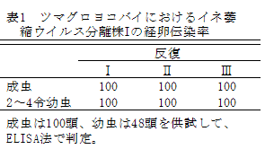 表1 ツマグロヨコバイにおけるイネ萎縮ウイルス分離株Iの経卵伝染率