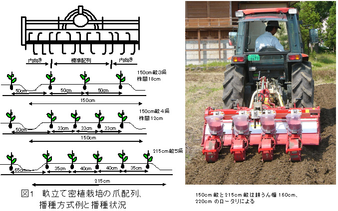 図1 畝立て密植栽培の爪配列、播種方式例と播種状況