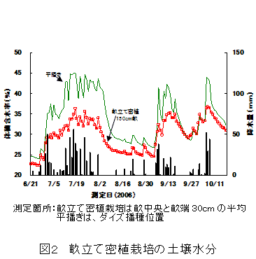 図2 畝立て密植栽培の土壌水分
