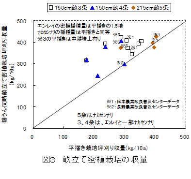 図3 畝立て密植栽培の収量