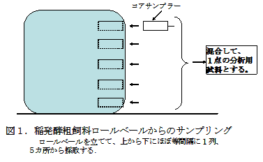 図1.稲発酵粗飼料ロールベールからのサンプリング